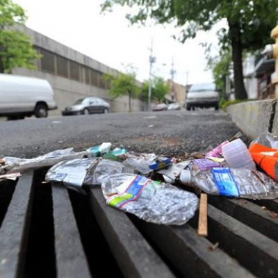 litter