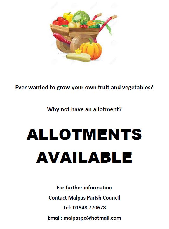 Allotments Aug 2020
