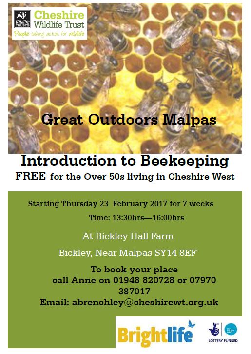 bee keeping 2017