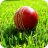 Cricket
