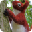 mill squirrel small 1 (1)