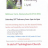 Millmoor Lambing Live 001